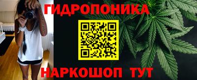 трава Лесосибирск