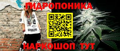 мдпв Малгобек