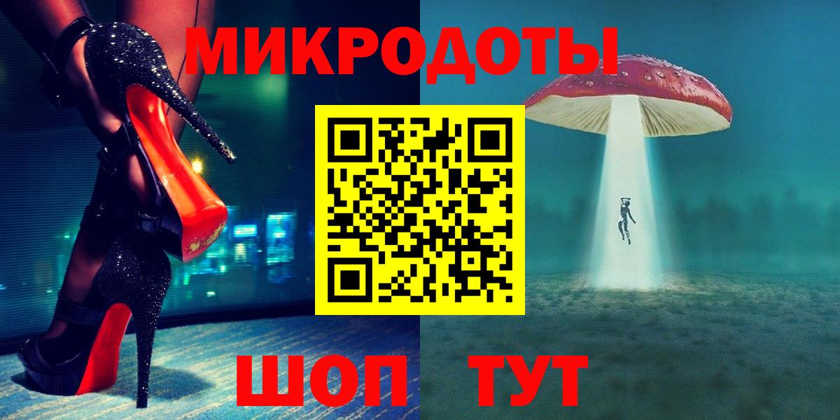 Псилоцибиновые грибы Psilocybe Чернушка